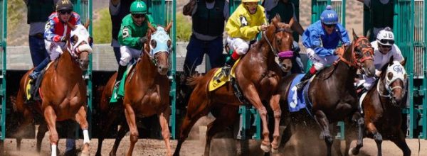 SLIB Shoots Out of the Gates in 2026